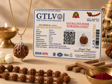 Premium 5 Mukhi Rudraksha Pendant in Silver with Golden Chain – Benefits, Significance & Daily Wearing Guide