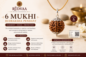 <img src="6-mukhi-rudraksha-pendant.jpg" alt="6 Mukhi Rudraksha Pendant with Silver Cap and Golden Chain">