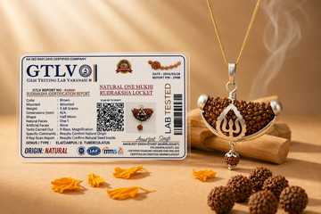 1 Mukhi Rudraksha Pendant with Silver Cap