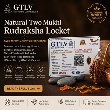 Natural 2 Mukhi Rudraksha with Silver Pendant & Golden Chain - Complete Guide to Harmony, Balance & Divine Blessings