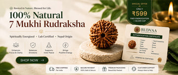 7 Mukhi Rudraksha Pendant with Silver Cap & Golden Chain – Benefits, Significance and How to Wear