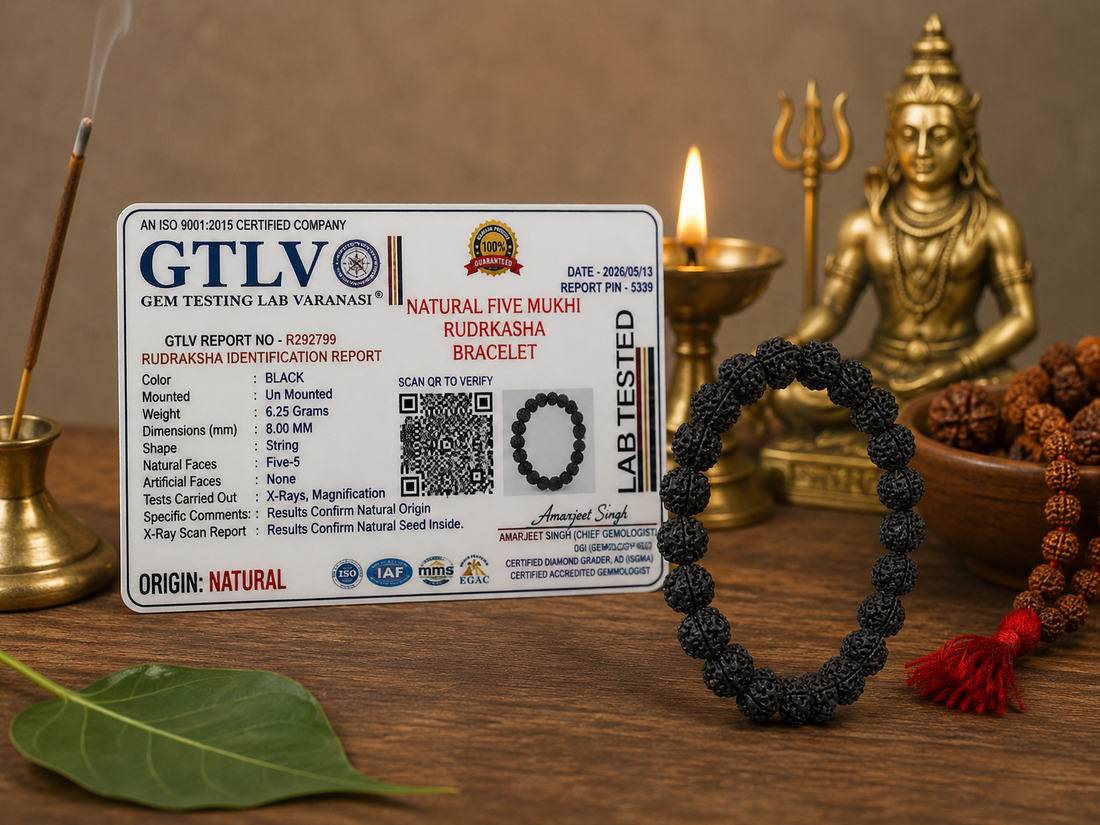 Natural 5 Mukhi Rudraksha Bracelet Black 8MM