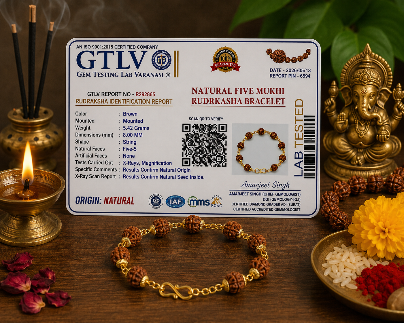 Natural Rudraksha 5 Mukhi Bracelet 8MM Gold Plated