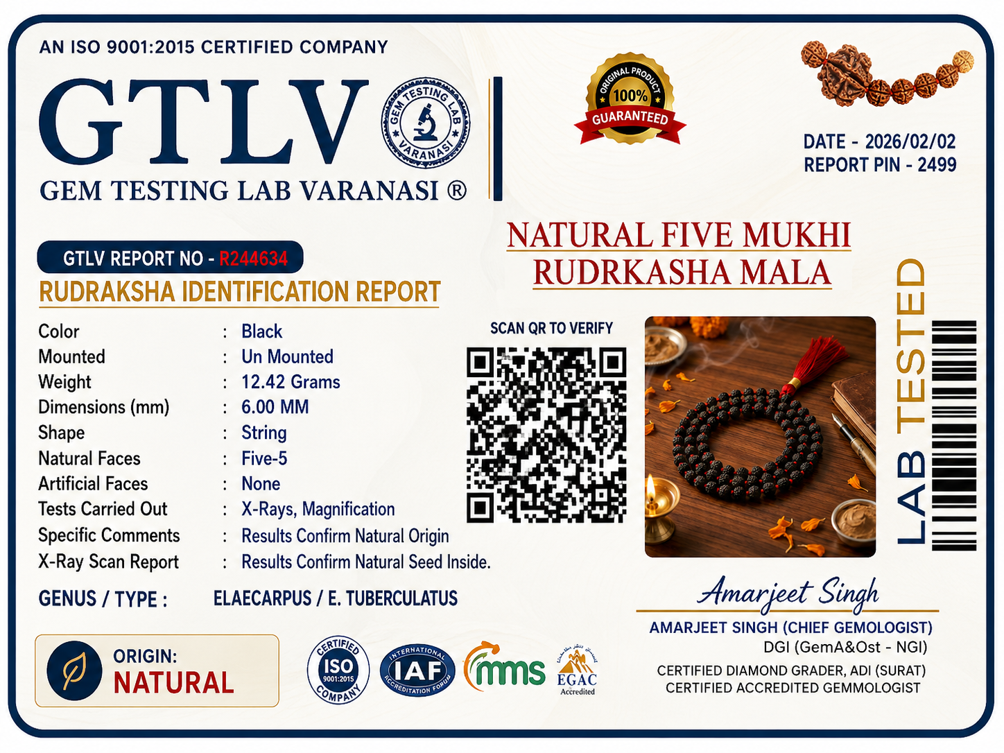 Authentic 5 Mukhi Rudraksha Mala Black 6MM
