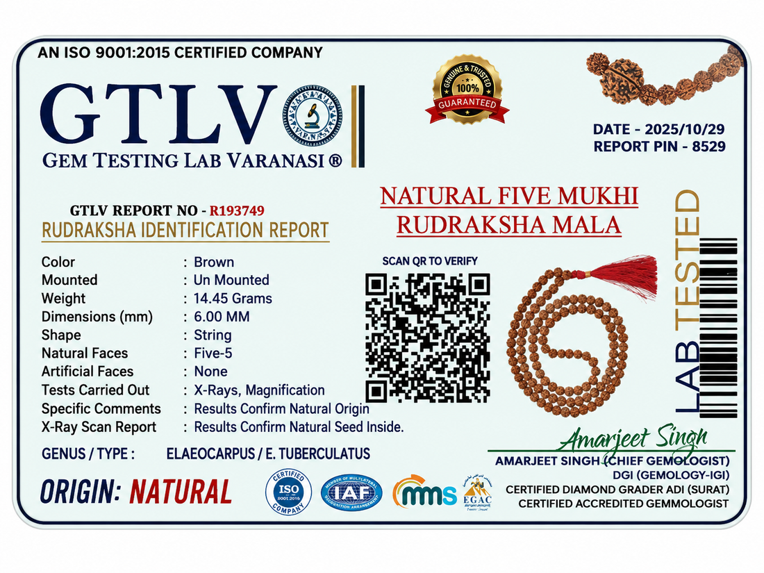 Premium 5 Mukhi Rudraksha Mala 6MM