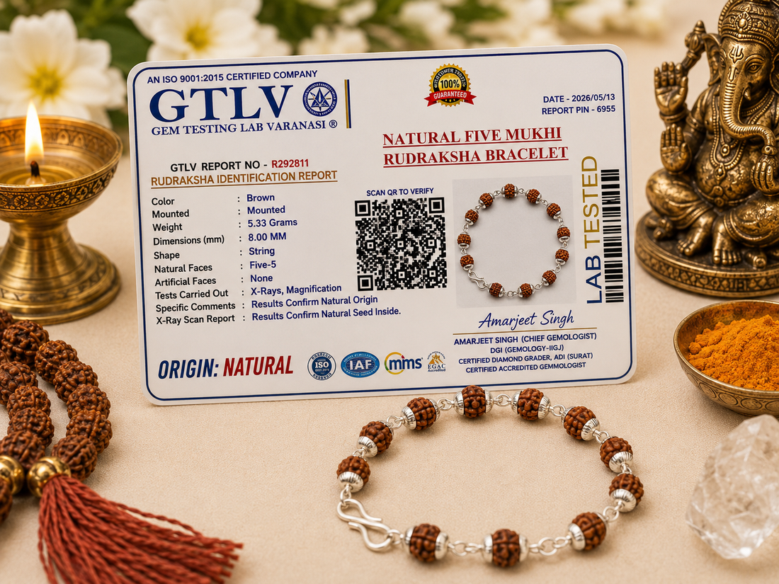 Premium Natural 5 Mukhi Rudraksha Bead Bracelet 8MM