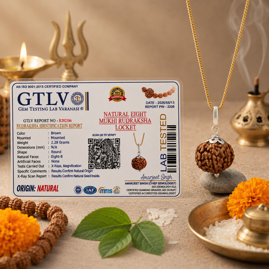 Natural 8 Mukhi Rudraksha with Silver Pendant & Golden Chain