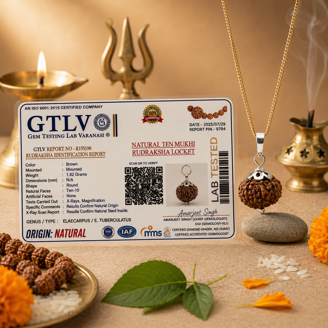 Natural 10 Mukhi Rudraksha with Silver Pendant & Golden Chain