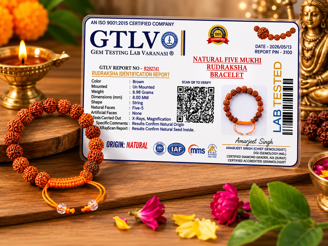 Natural 5 Mukhi Rudraksha Bracelet Adjustable Brown 8MM – Spiritual Energy & Daily Wear