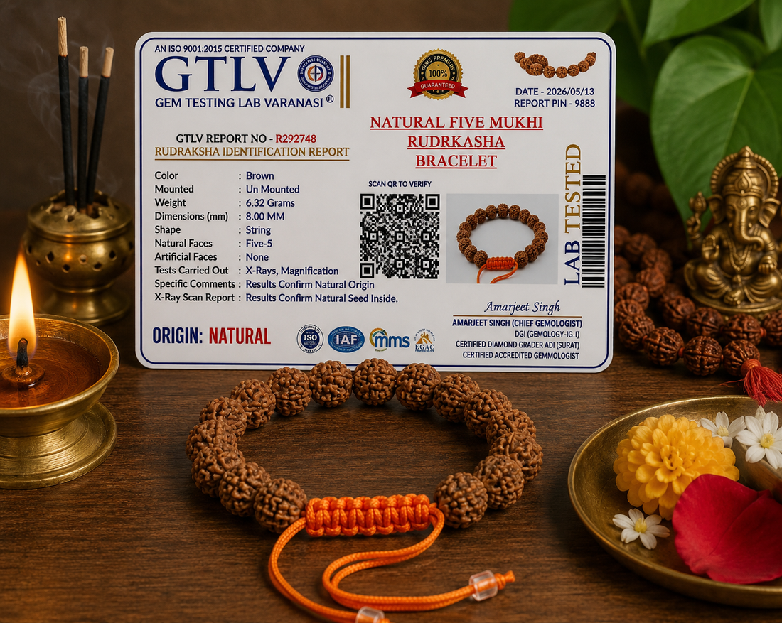 Natural Five Mukhi Rudraksha Bracelet Adjustable 8MM