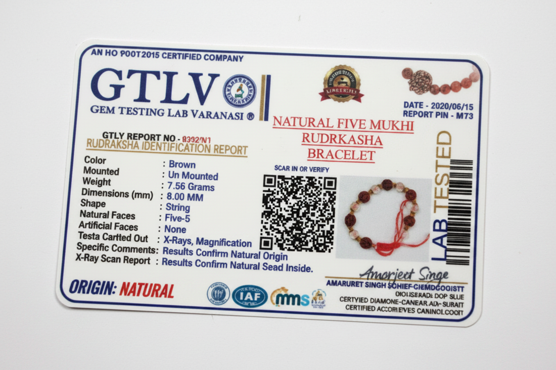 Authentic Five Mukhi Rudraksha Bracelet with Crystal Glass Beads 8MM