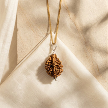 Natural 2 Mukhi Rudraksha with Silver Pendant & Golden Chain