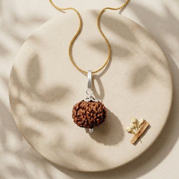 Natural 8 Mukhi Rudraksha with Silver Pendant & Golden Chain