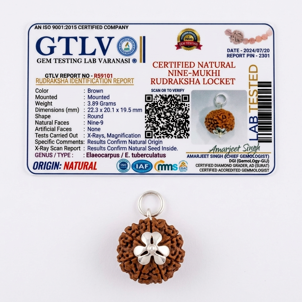 Natural 9 Mukhi Rudraksha with Silver Pendant & Golden Chain